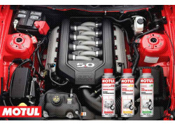 Motul